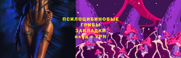 каннабис Майский