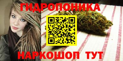 apvp Аргун