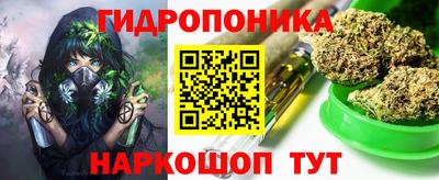 крисы Балаково