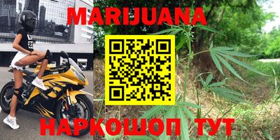 крисы Балаково