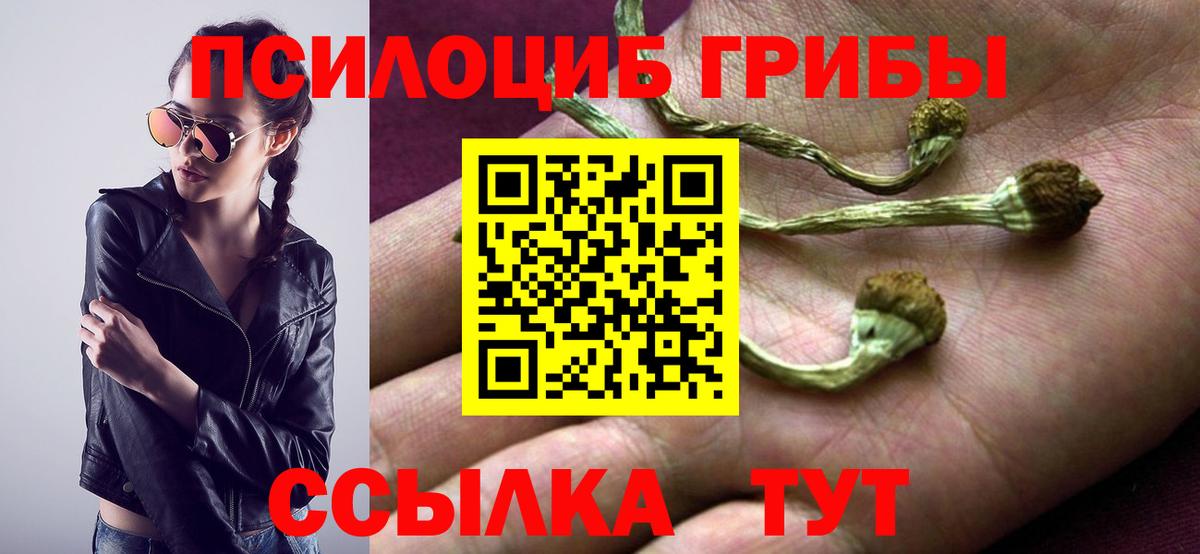 где продают   Дубна  Псилоцибиновые грибы ЛСД 