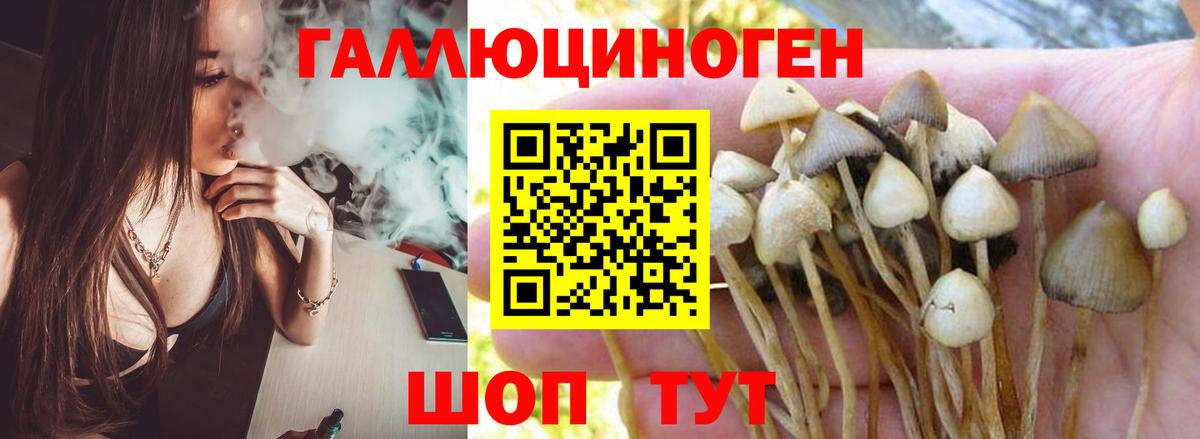 Псилоцибиновые грибы ЛСД  Псилоцибиновые грибы прущие грибы  магазин  наркотиков  Дубна  Вход с VPN 