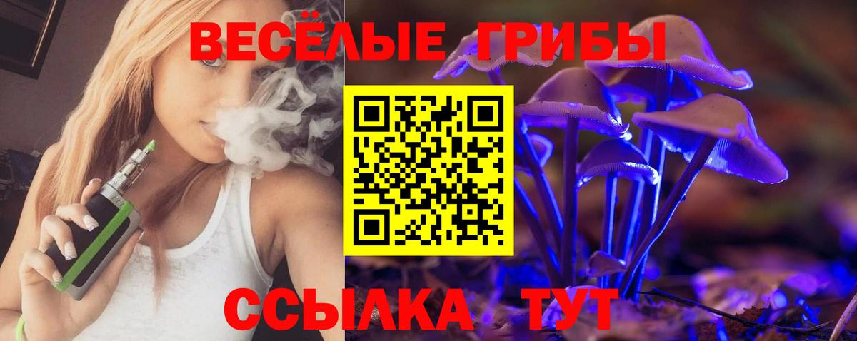 Галлюциногенные грибы Psilocybine cubensis Дубна