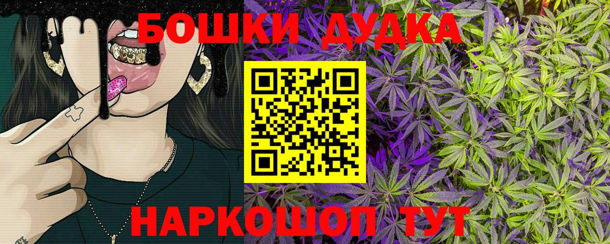 Шишки марихуана план  Марихуана сатива  Бошки марихуана LSD WEED  Бошки марихуана VHQ  Дубна 
