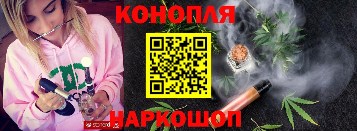 Канабис сатива Дубна